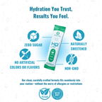 H2O ELECTROLYTES™ - Sample Variety Pack (5 Count) | Zero Sugar Electrolyte Powder