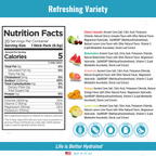 H2O ELECTROLYTES™ - Sample Variety Pack (5 Count) | Zero Sugar Electrolyte Powder