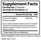 Premium Collagen Peptides — Types I, II, III, V & X